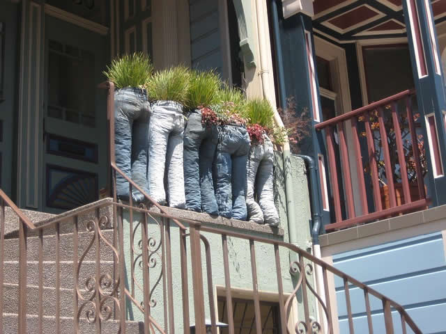 jeans plant pot