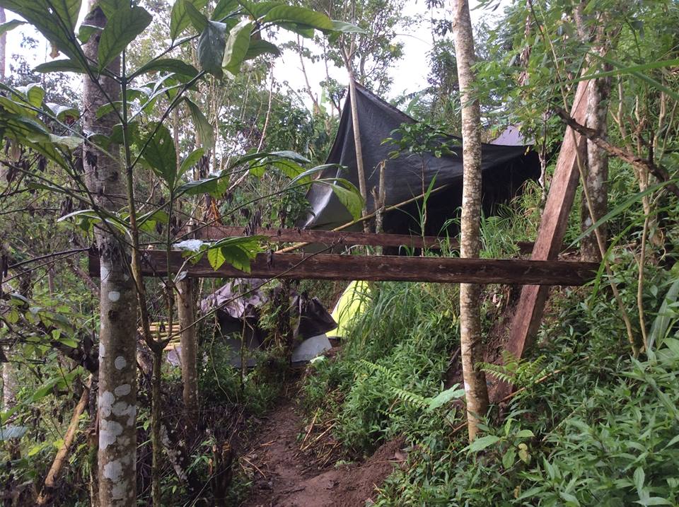Hillside home in the Indonesian jungle