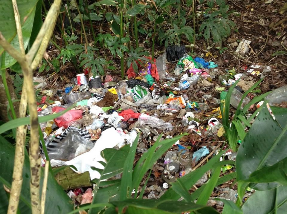 A close-up of the jungle rubbish