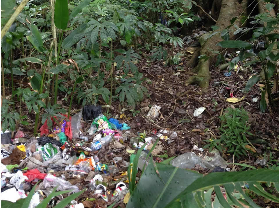 Asia's plastic rubbish problem