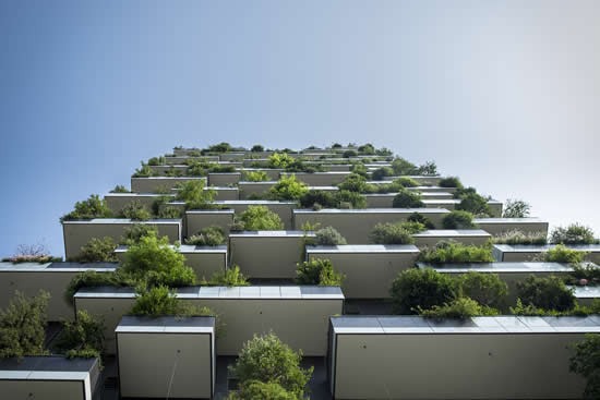 Vertical forest - tree planted in high-rise flats and offices