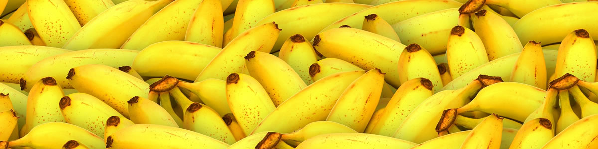 Banana skins can be used to create electricity