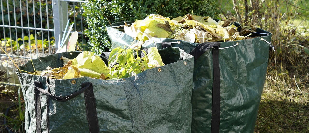 Garden waste collection charges in Wealden