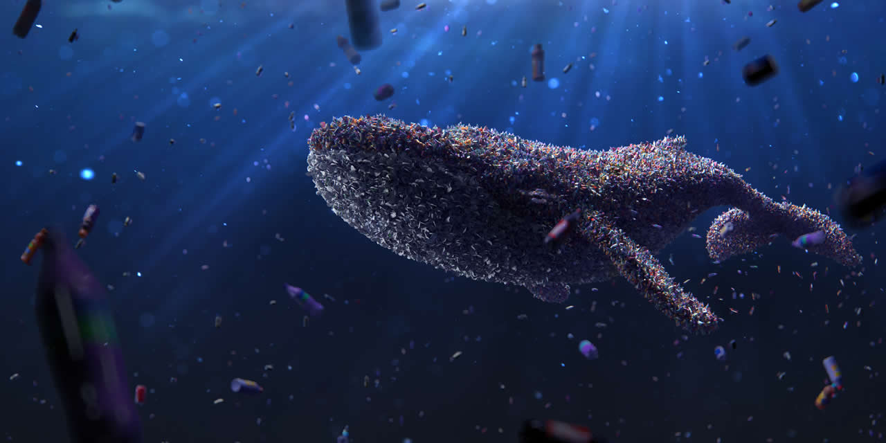 whale plastc pollution