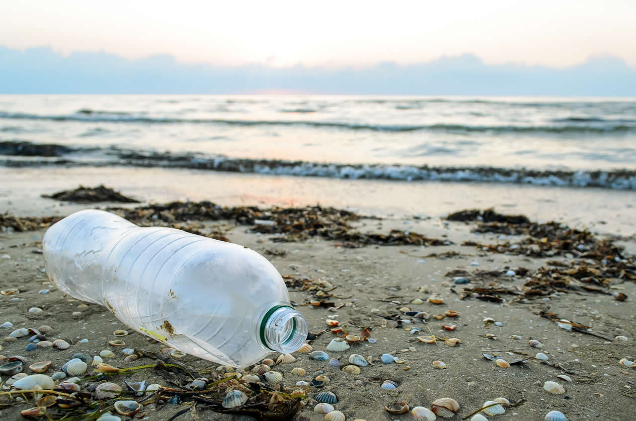 Supermarket plastic bottle recycling scheme