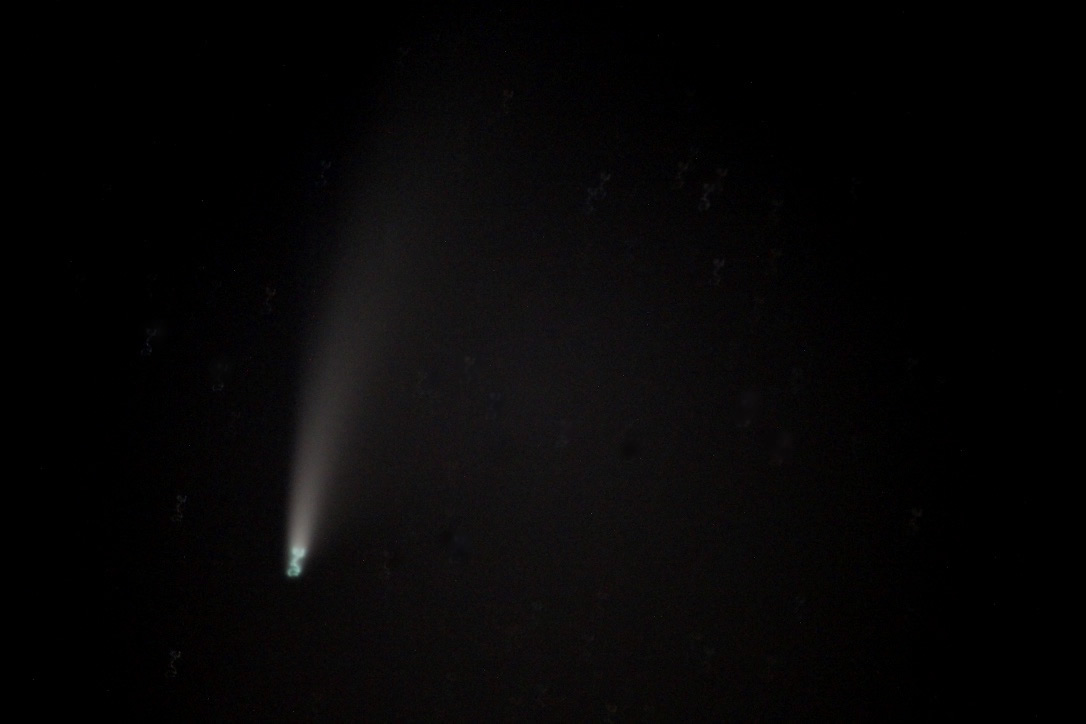 neowise